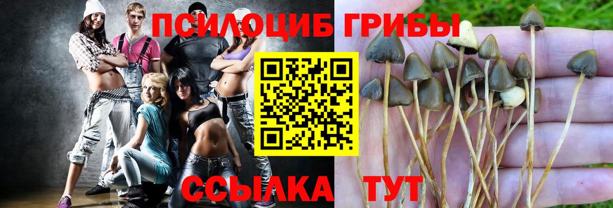 Будённовск  Псилоцибиновые грибы Psilocybe  Галлюциногенные грибы мухоморы  Вход с VPN 